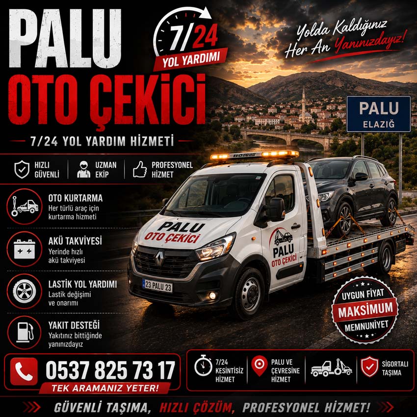 Palu Oto Çekici